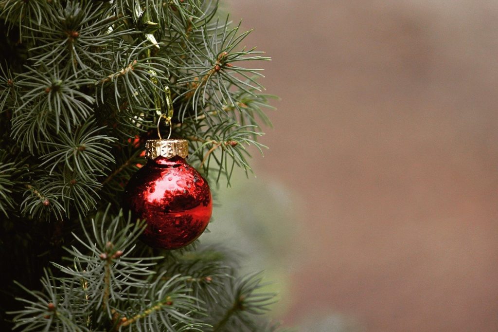 christmas, tree, fir tree-4704707.jpg